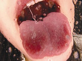 主観 唾 吐息 淫語浴び手コキ 2　サンプル画像05